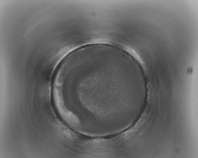 X0000093741268200710231204