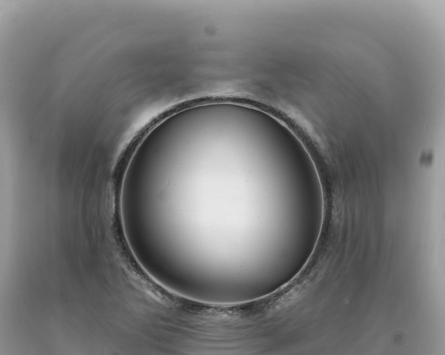 X0000093741270200710231204