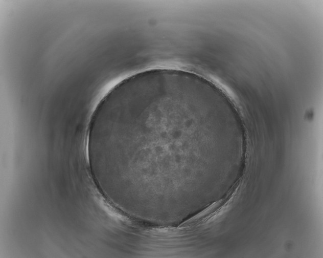 X0000093741272200710231204