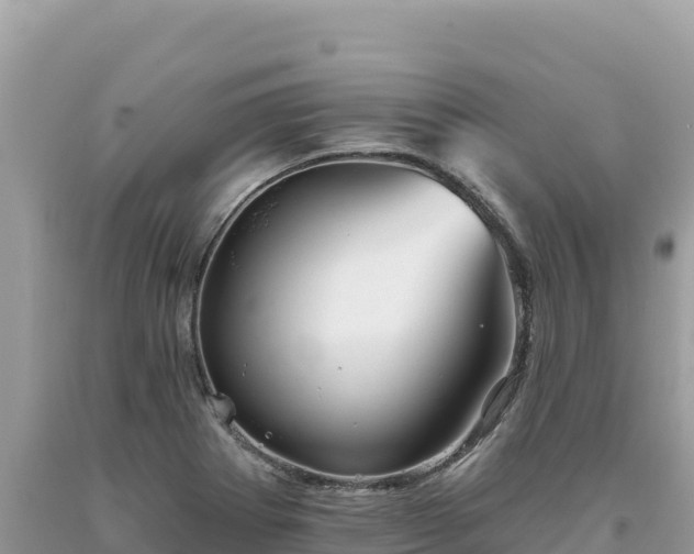 X0000093741273200710231204