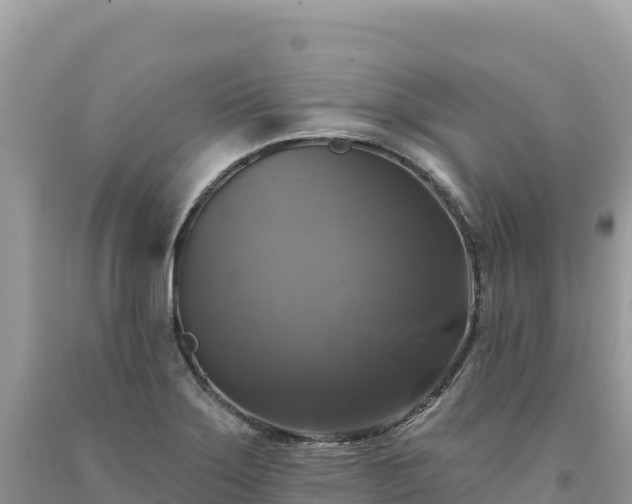 X0000093741275200710231204