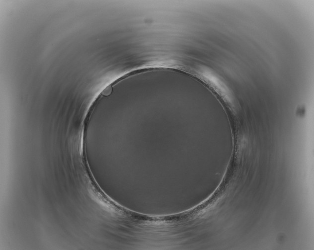 X0000093741276200710231204