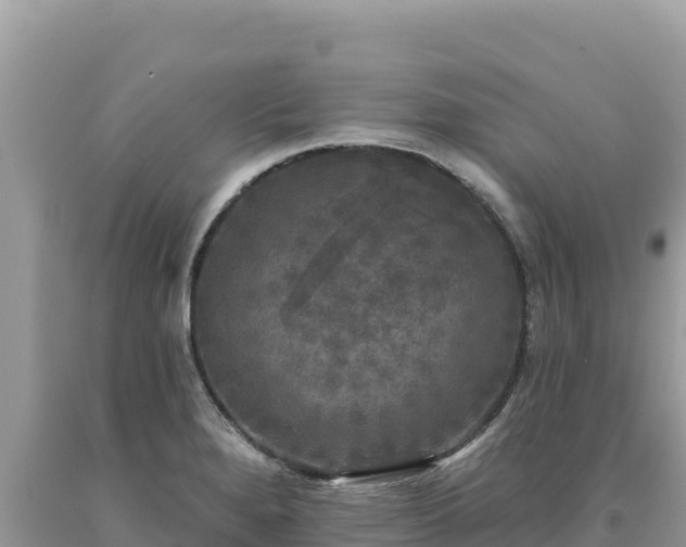 X0000093741280200710231204