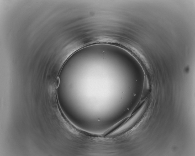 X0000093741281200710231204