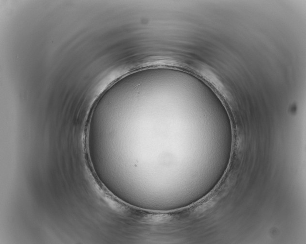 X0000093741282200710231204