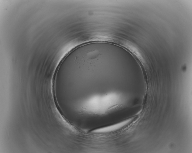 X0000093741283200710231204