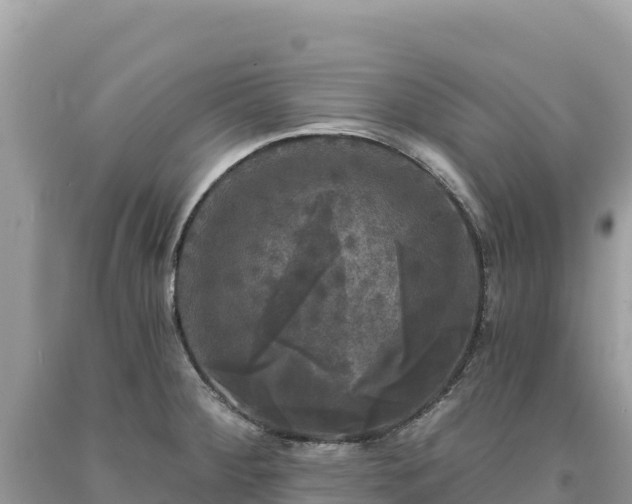 X0000093741284200710231204