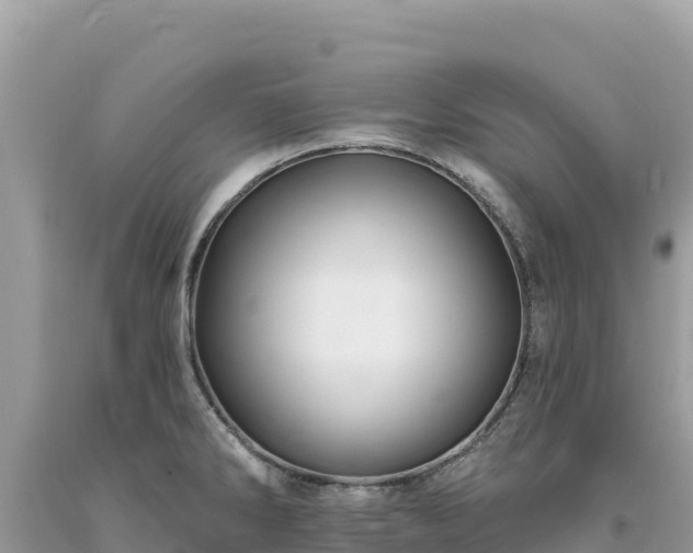 X0000093741286200710231204