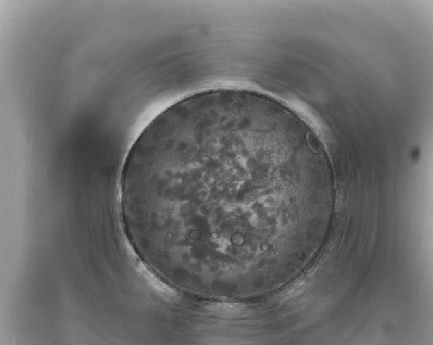 X0000093741287200710231204