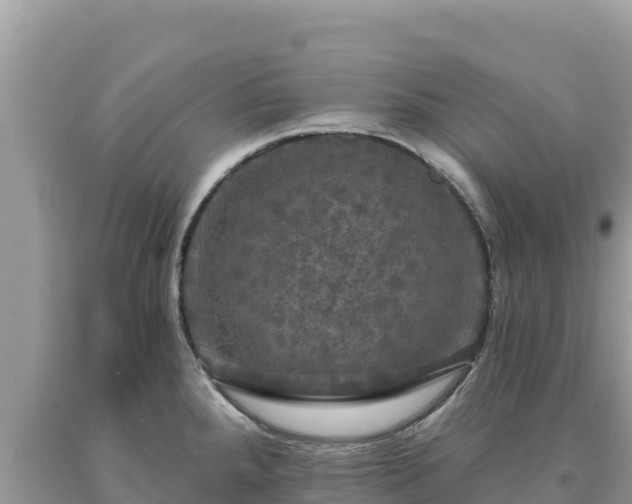 X0000093741288200710231204