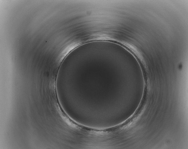 X0000093741289200710231204