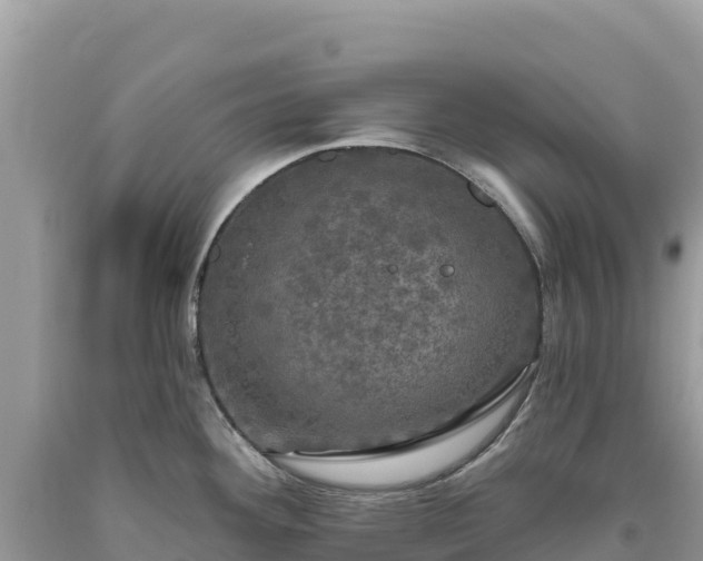 X0000093741292200710231204