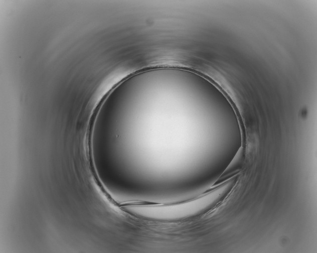 X0000093741293200710231204