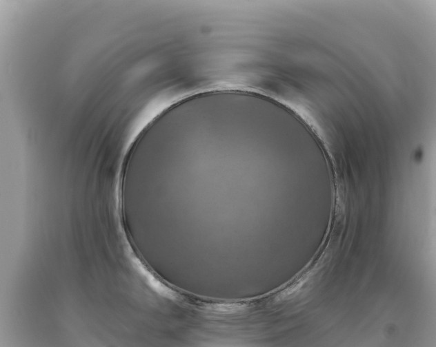 X0000093741294200710231204