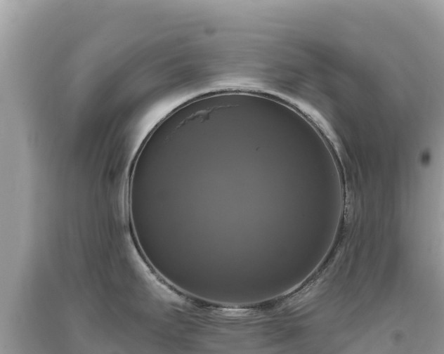 X0000093741295200710231204