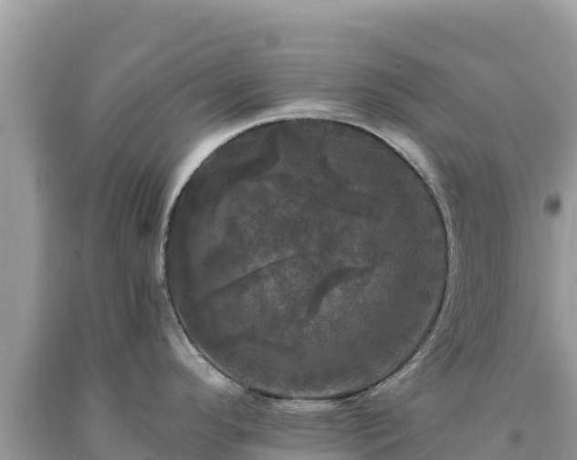 X0000093741296200710231204