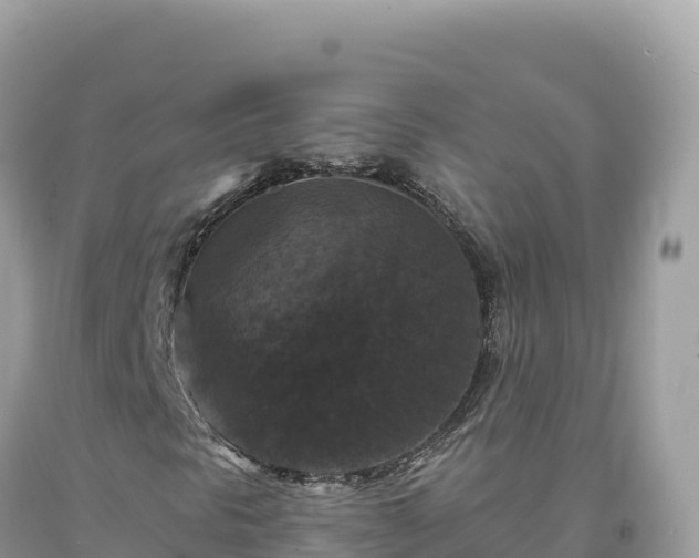 X0000093741297200710231203