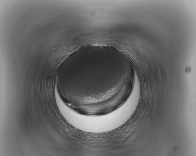 X0000093741298200710231203