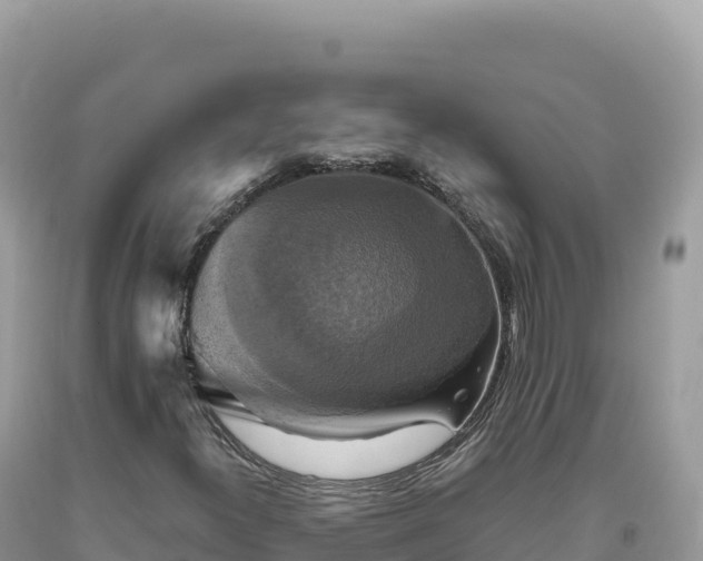 X0000093741300200710231203