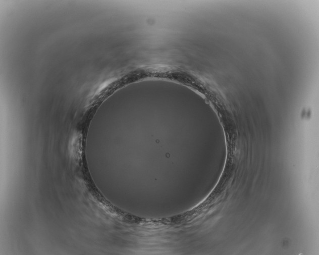 X0000093741301200710231203