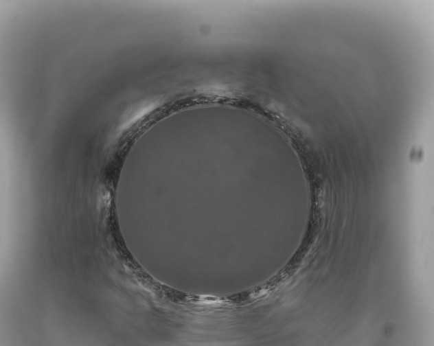 X0000093741302200710231203
