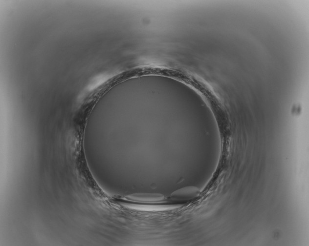 X0000093741303200710231203