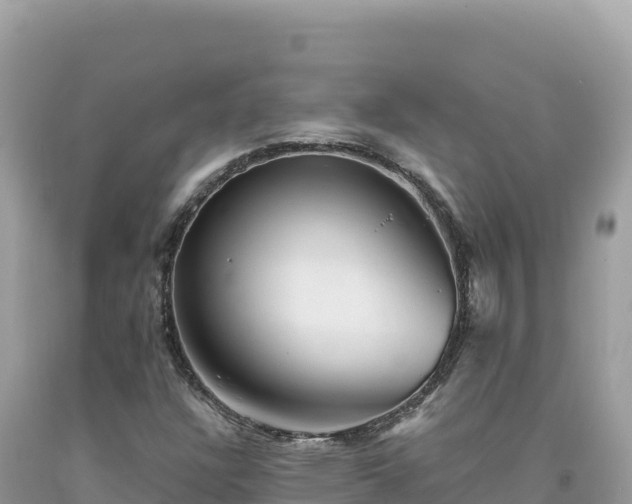 X0000093741304200710231203