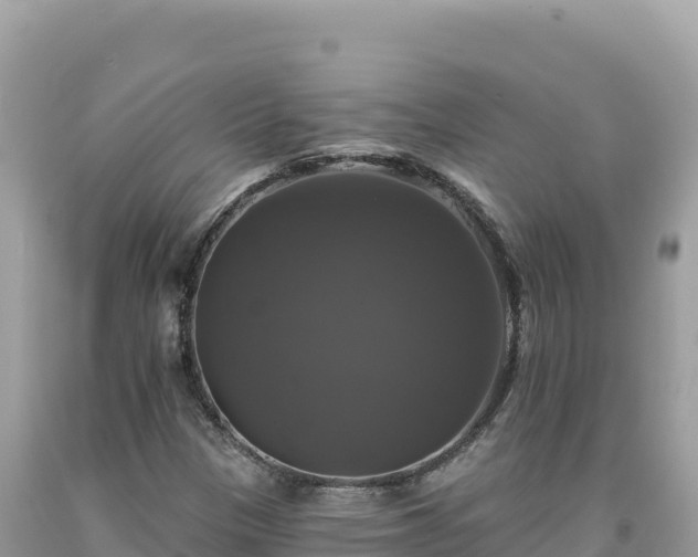 X0000093741305200710231203