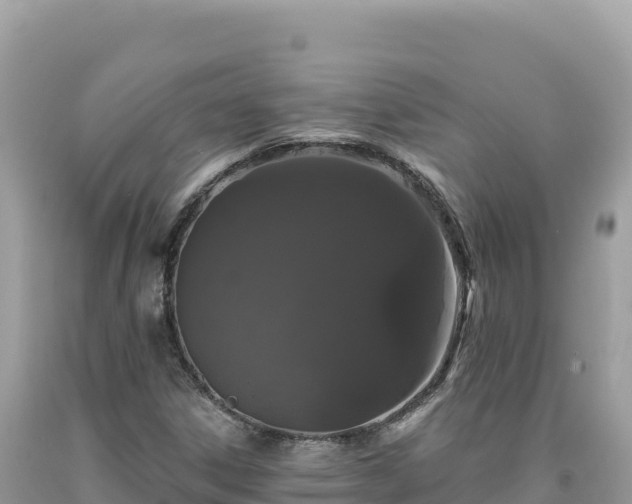 X0000093741306200710231203