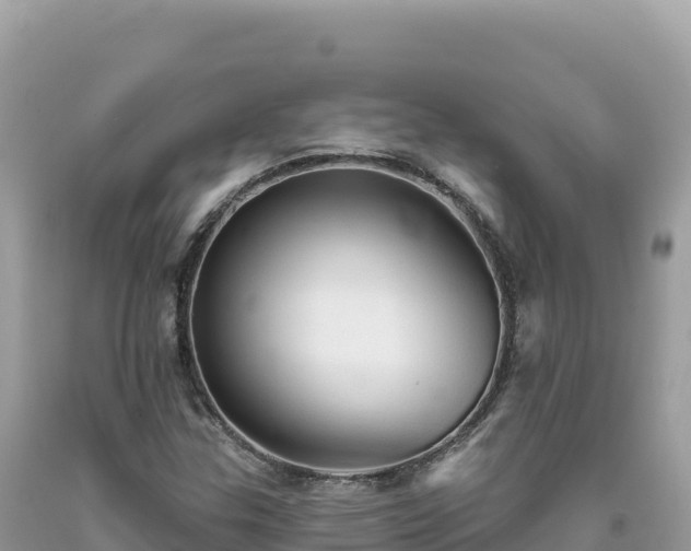 X0000093741307200710231203