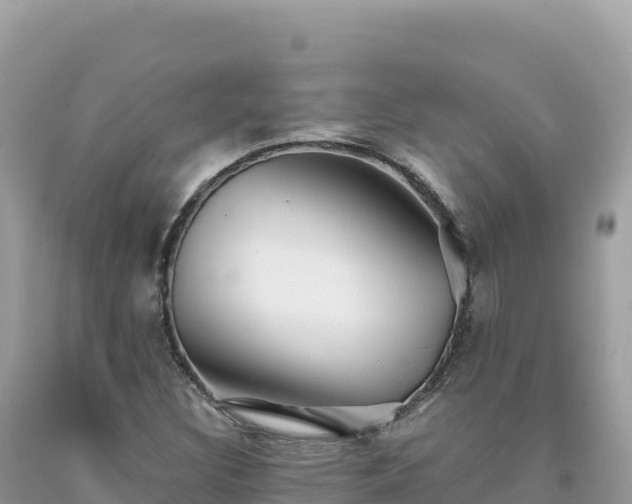 X0000093741308200710231203