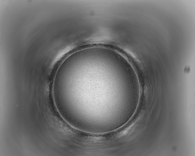 X0000093741309200710231203