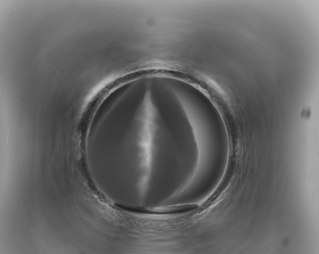 X0000093741310200710231203