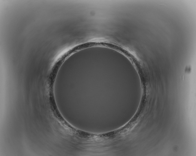 X0000093741311200710231203