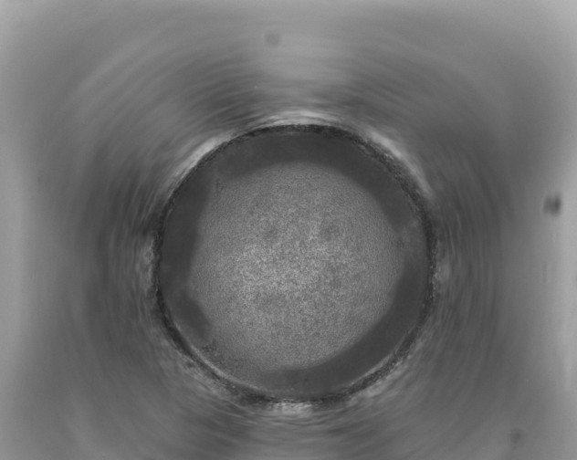 X0000093741313200710231203