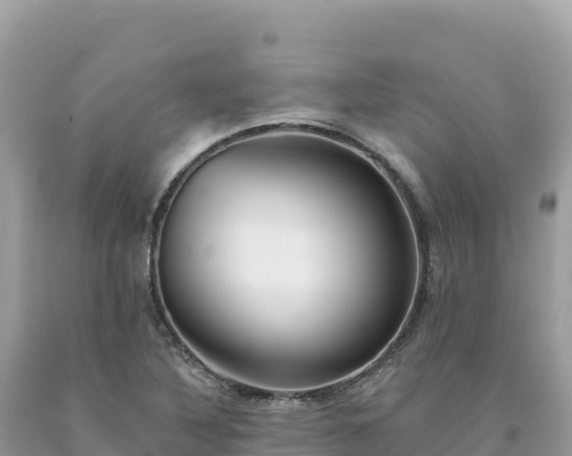 X0000093741316200710231203