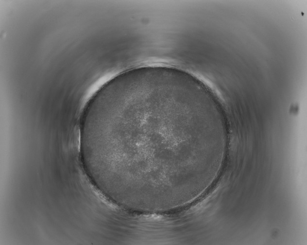 X0000093741317200710231203