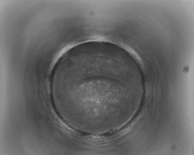 X0000093741318200710231203