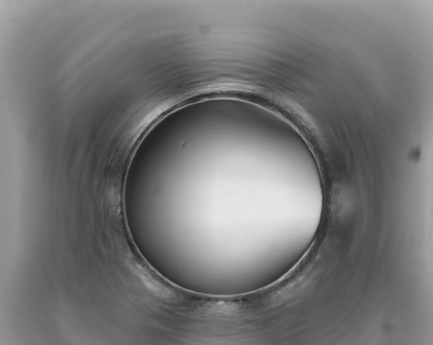 X0000093741321200710231204