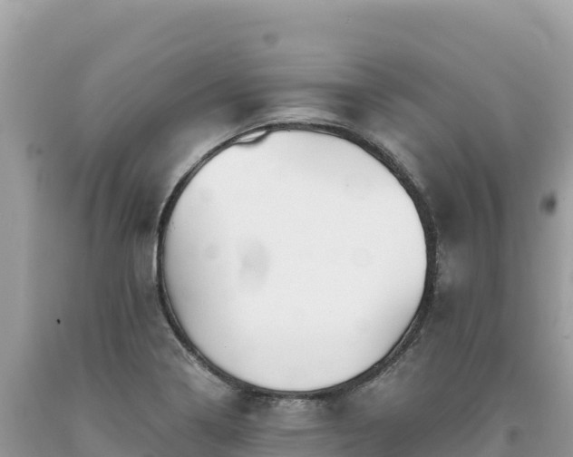 X0000093741322200710231204