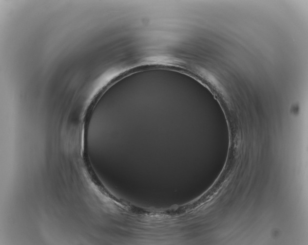 X0000093741323200710231204