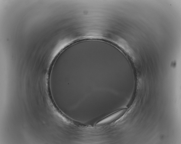 X0000093741325200710231204