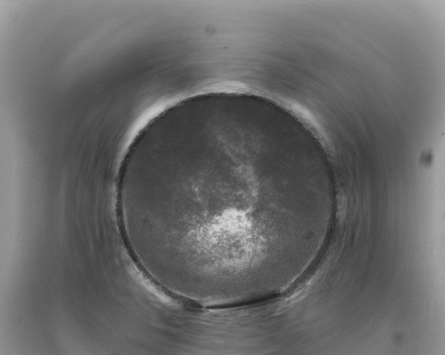 X0000093741326200710231204
