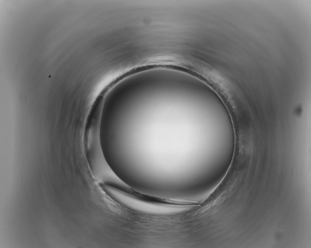 X0000093741328200710231204