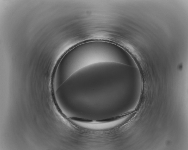 X0000093741331200710231204