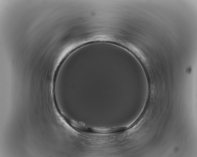 X0000093741334200710231204