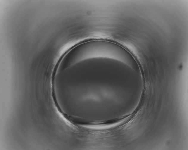 X0000093741335200710231204