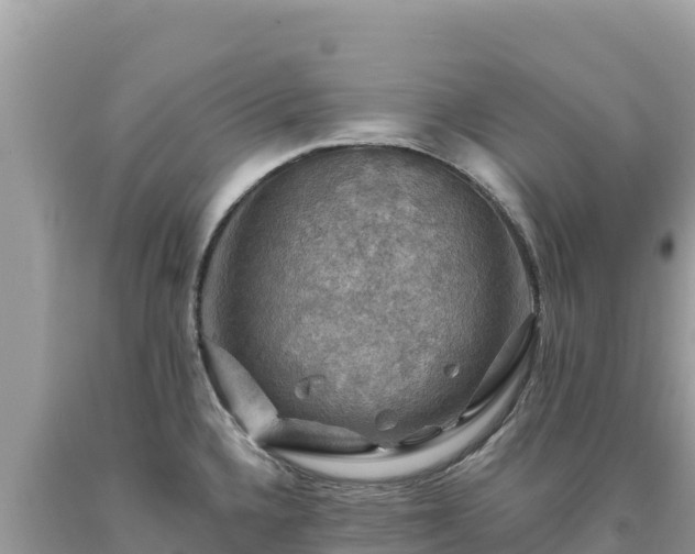 X0000093741336200710231204