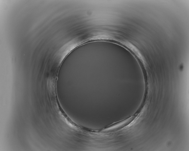 X0000093741337200710231204