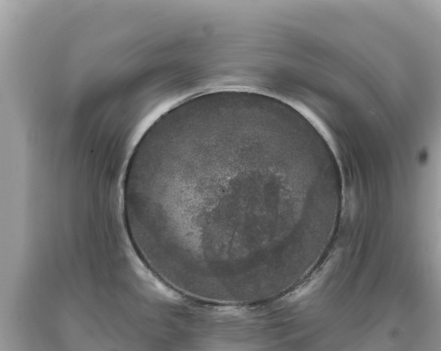 X0000093741341200710231204